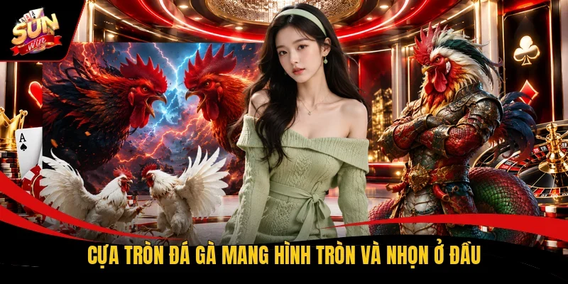 Cựa tròn đá gà mang hình tròn và nhọn ở đầu