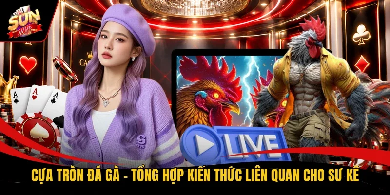 cựa tròn đá gà