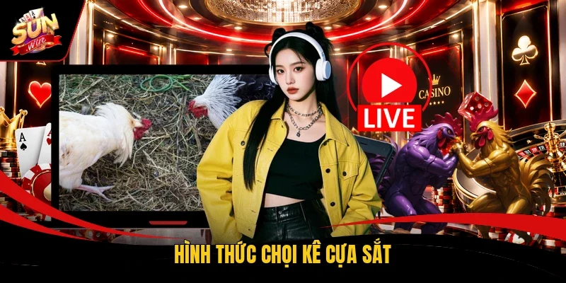 Hình thức chọi kê cựa sắt